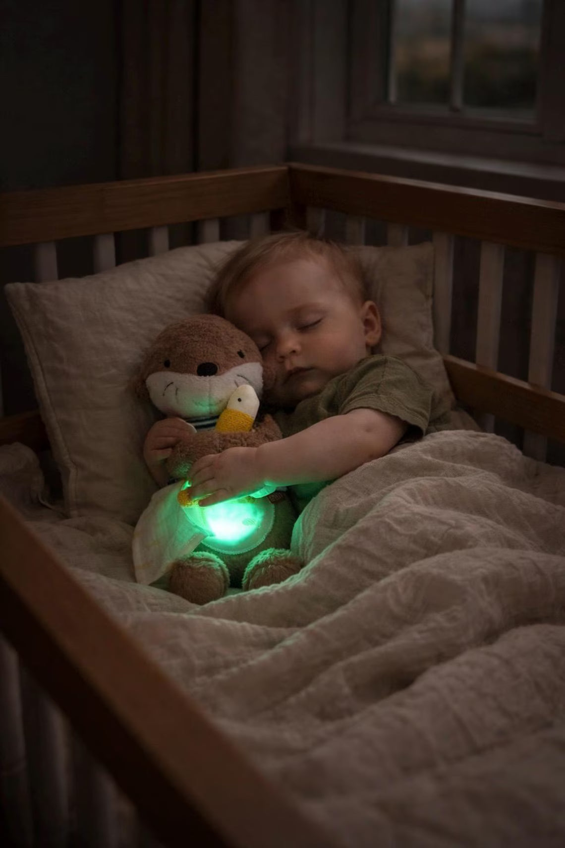 Otter Nachtlicht
